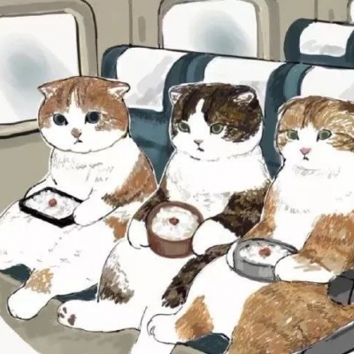 访华第三天，卡尼情绪爆发，当着中方的面