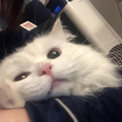 京东健康发布京东卓医2.0