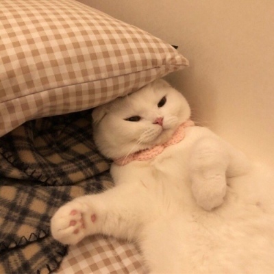 有其母必有其子！闫学晶又被爆出新料