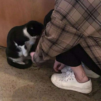 向出轨丈夫道歉后续：丑事已传到国外